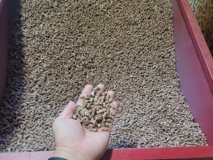 사진1. 목재펠릿