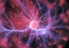 “더 젊고 건강하게, 일상 속 뇌 건강 챙기기 ― 최신 트렌드와 실천 방법” purple and pink plasma ball