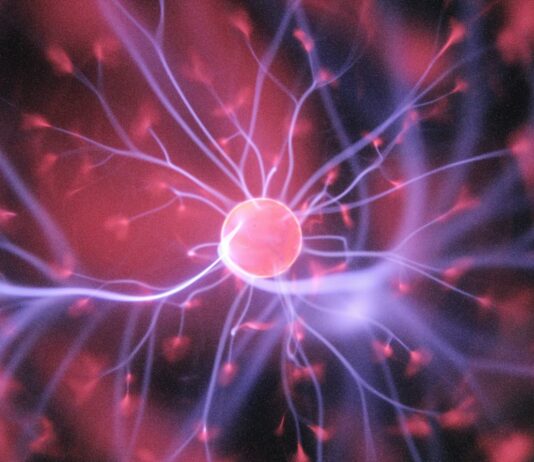 “더 젊고 건강하게, 일상 속 뇌 건강 챙기기 ― 최신 트렌드와 실천 방법” purple and pink plasma ball